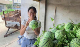 农村吃瓜爆料视频大全,揭秘乡村生活趣味瞬间